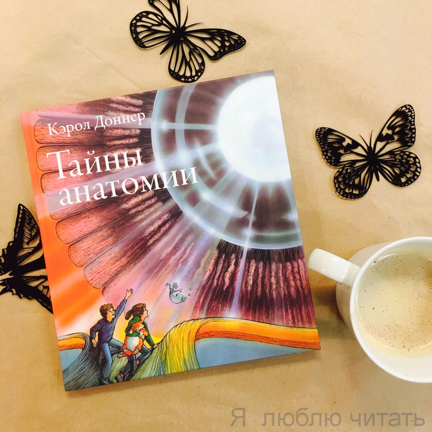 Тайны анатомии