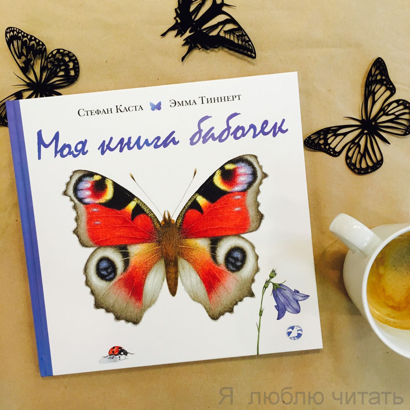 Моя книга бабочек