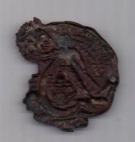 знак 1925 г. 8-я Годовщина Освобождения Трудящихся.