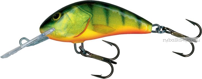 Воблер Salmo Hornet Rattlin 45F 45 мм/ 6 гр/ Заглубление: 1,8 - 3,5 м /цвет: HP