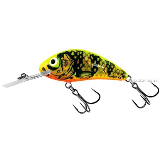 Воблер Salmo Hornet Rattlin 65F 65 мм/ 20 гр/ Заглубление: 2,5 - 5 м /цвет: GFP