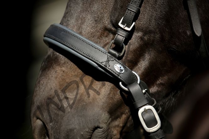 Модифицируемая уздечка Barefoot® "Contour Physio" с капсюлем Shape-It Soft