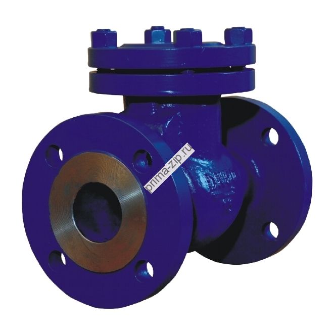 Клапан обратный поворотный 19с53нж