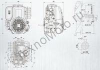 Zongshen (Зонгшен) ZS XP 620FE четырехтактный бензиновый двигатель с вертикальным валом, имеет объем 625 куб. см и обладает мощностью 21 л. с., диаметр вала 25,4 мм. Присоединительные размеры. Texnomoto.ru