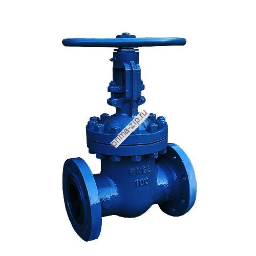 Задвижка 30лс76нж Ду 250 Ру63