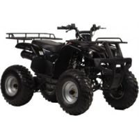 Irbis (Ирбис) ATV 150 U Lux 150cc 4т