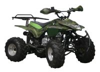 ATV 110E