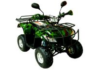 ATV 110I