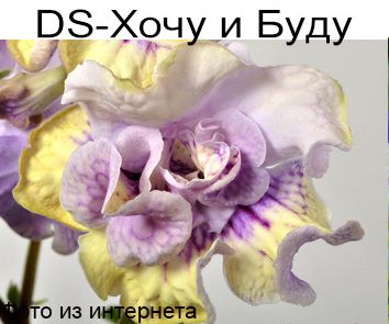 DS-Хочу и Буду (П.Еникеев)