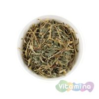 Курильский чай