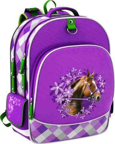 Рюкзак школьный Wild Horse (38х28х17см, 450гр)