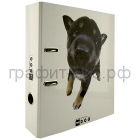 Файл А4 7см Clairefontaine THE DOG CL26162