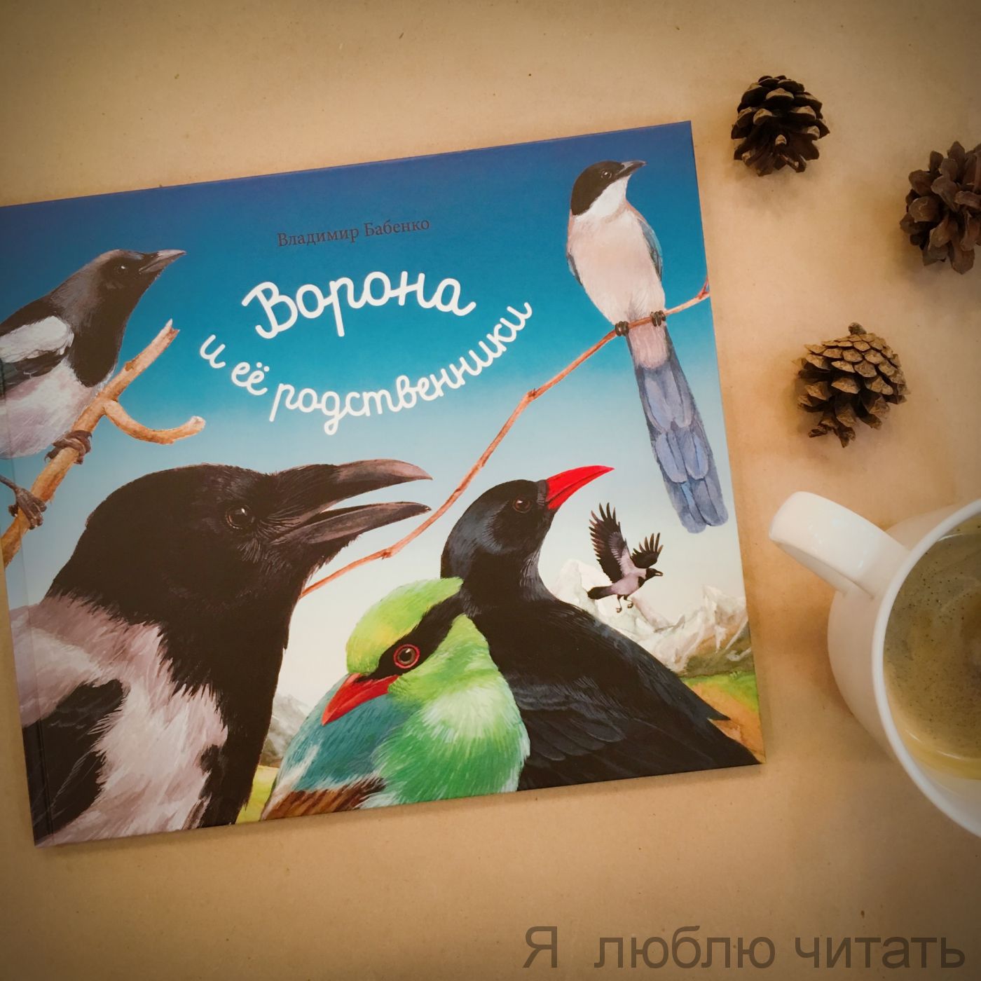 Ворона и ее родственники