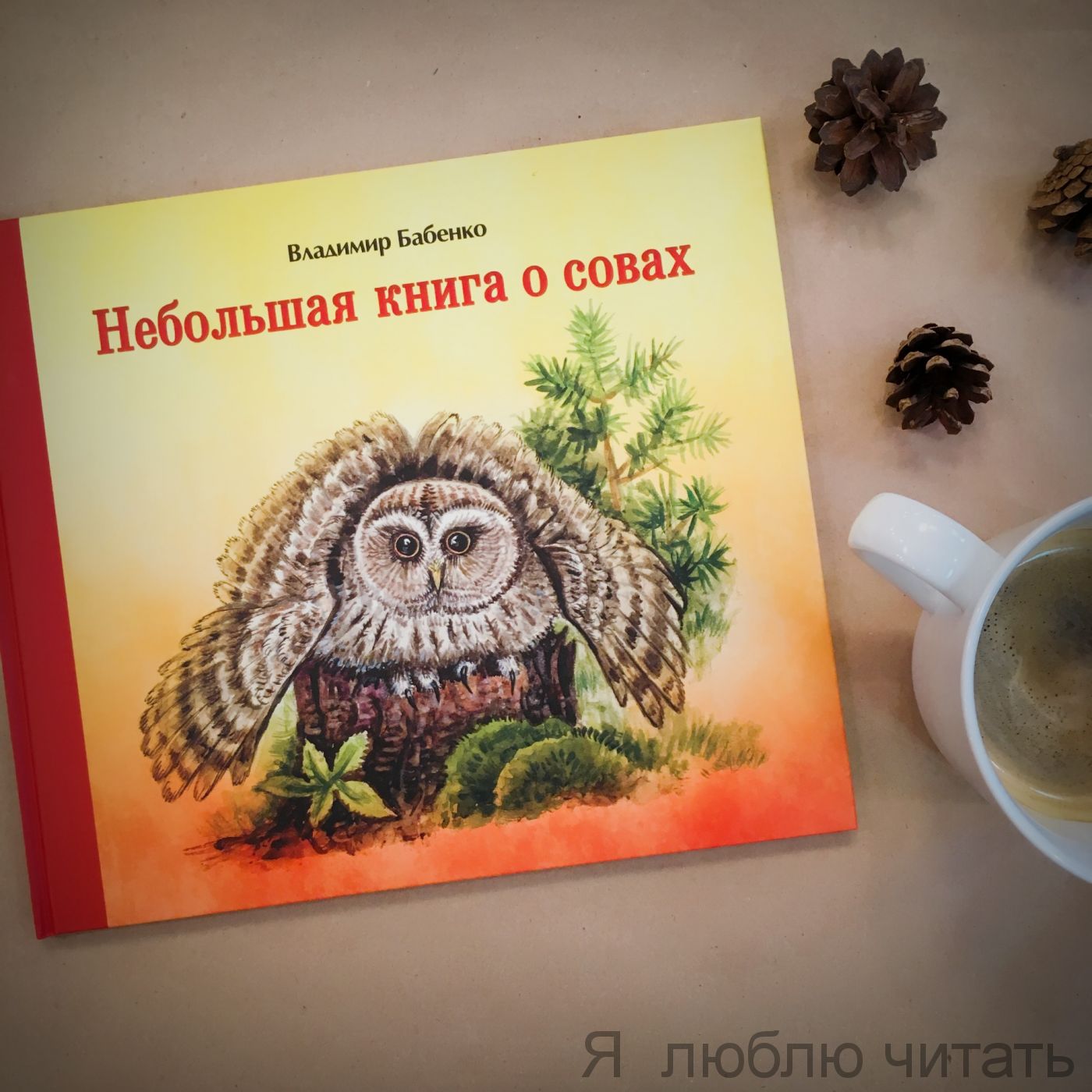 Небольшая книга о совах