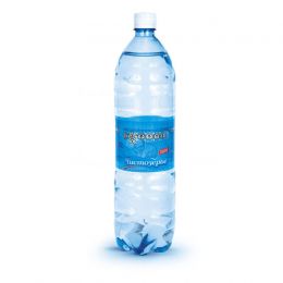 Доставка воды Чистозерье газ. 1,5 л, пэт (1 уп./6 бут.)