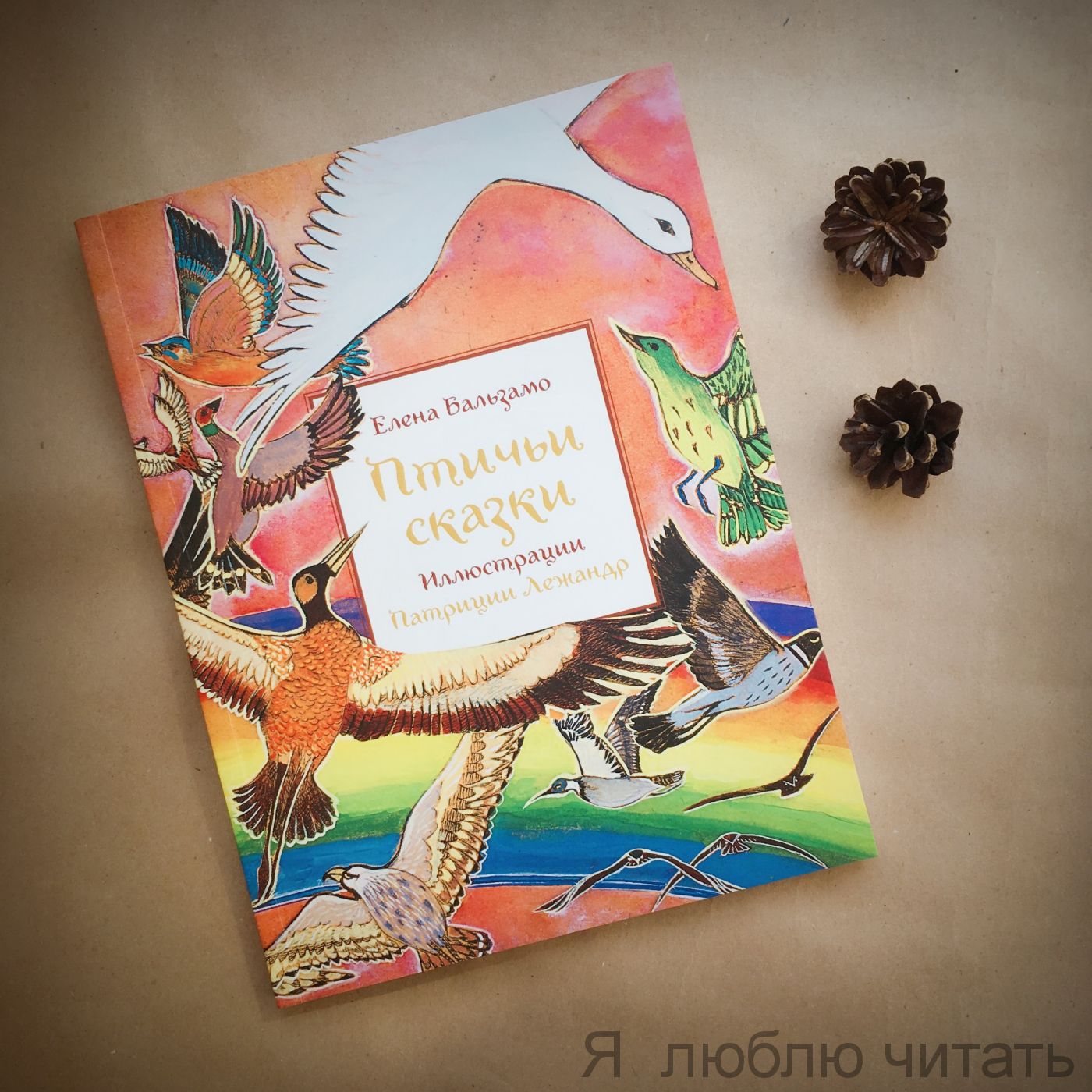 Птичьи сказки