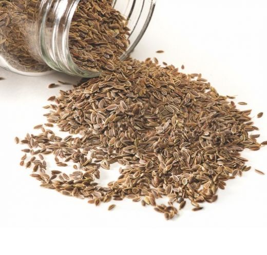 Укроп семена