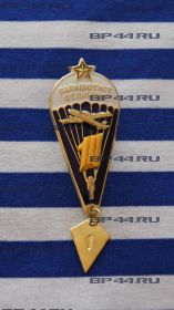 Знак "Парашютист отличник 11"