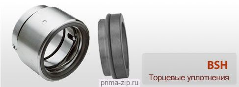 Торцевое уплотнение BS100