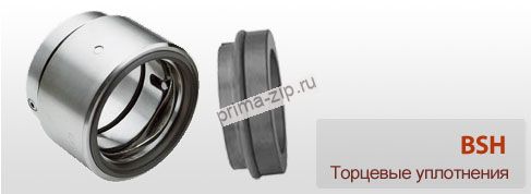 Торцевое уплотнение BS100