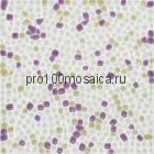 CV11008 Мозаика Palermo  300х300х5 мм (Colori Viva)