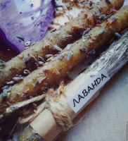 ЛАВАНДА. Восковые свечи.