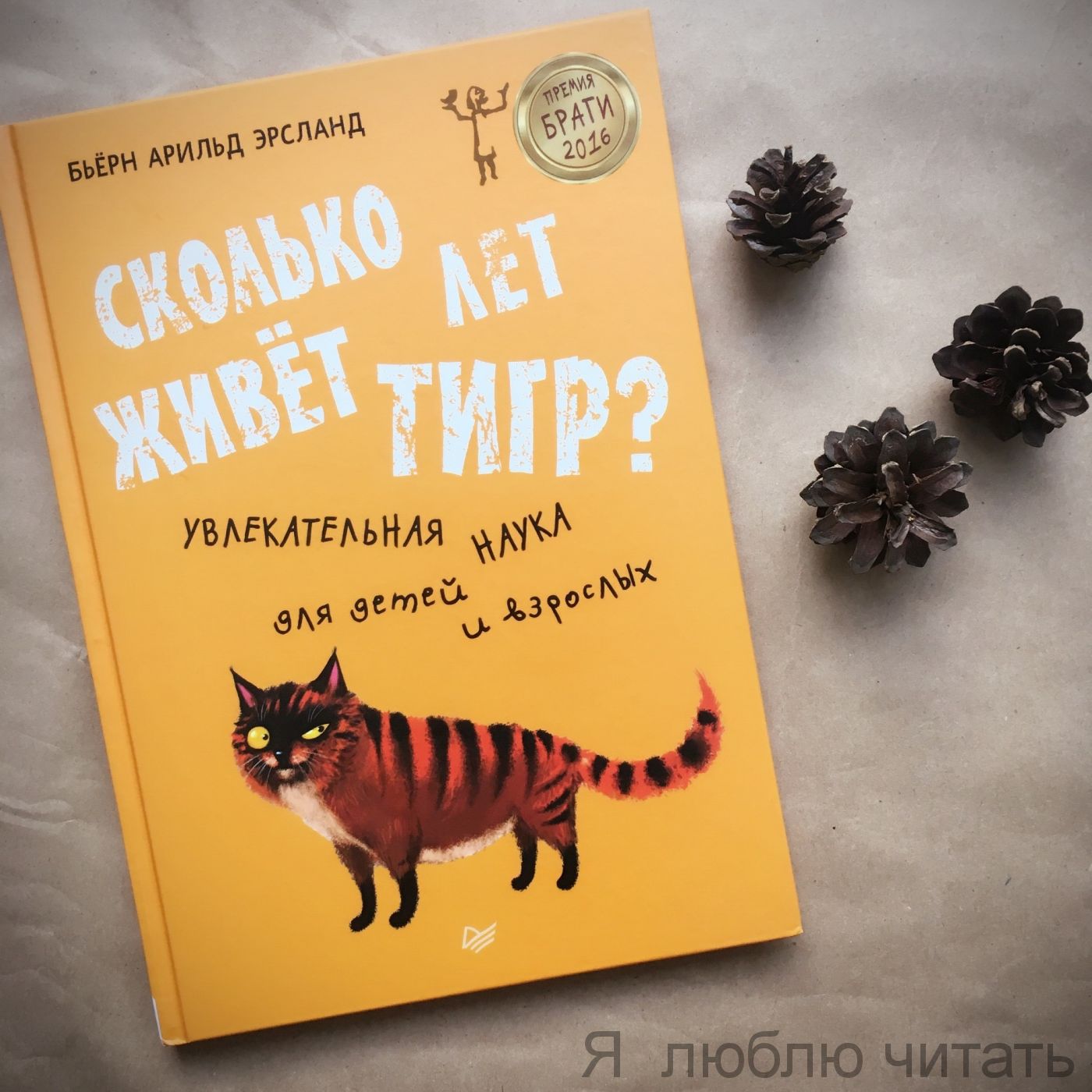 Сколько лет живет тигр?