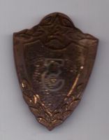 знак 1954 г. Армейский специалист 3 класса.
