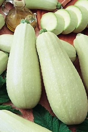 Кабачок Ролик