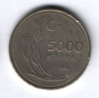 5000 лир 1994 г. Турция