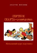 Спутник скаута-разведчика