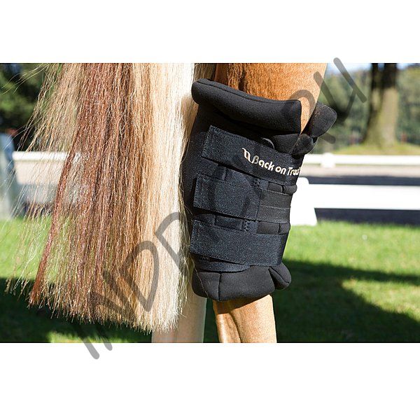 Бандажи с ватниками на скакательный сустав лошади Back on Track Royal