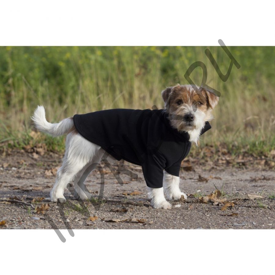 Флисовый свитер Back on Track для собак Bianca