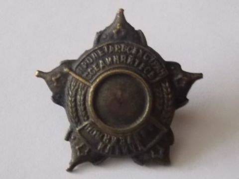 знак 1924 г. РККА