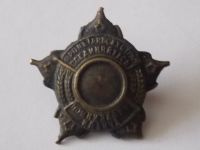 знак 1924 г. РККА