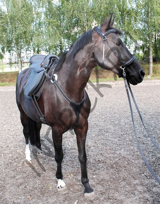 Регулируемое подперсье Strech & Breath