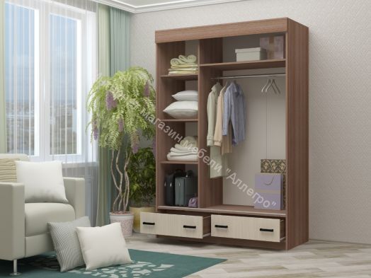 Шкаф купе "Альянс-5" (Регион)