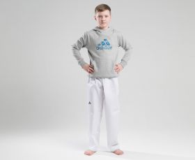 Толстовка с капюшоном серо-синяя (Худи) детская Adidas Graphic Hoody Kids ADIHG1-K