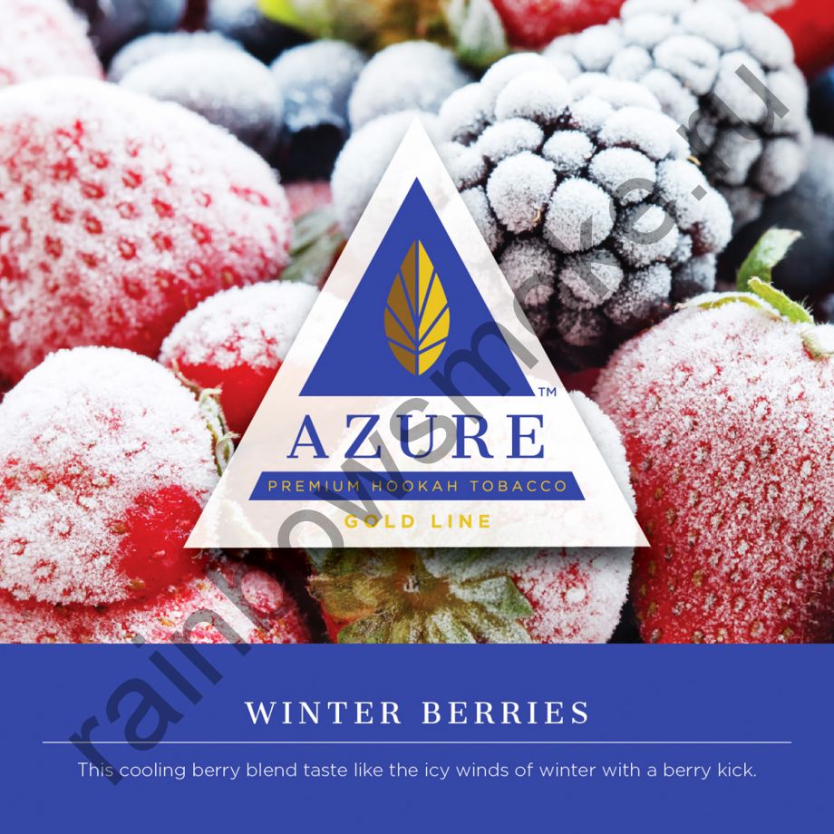 Azure Gold 50 гр - Winter Berries (Зимние Ягоды)