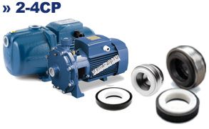 Торцевое уплотнение к насосу pedrollo 2CP40/200A