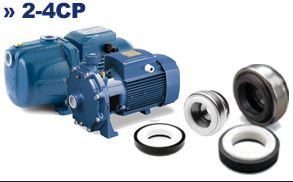 Торцевое уплотнение к насосу Pedrollo 4SR12/22