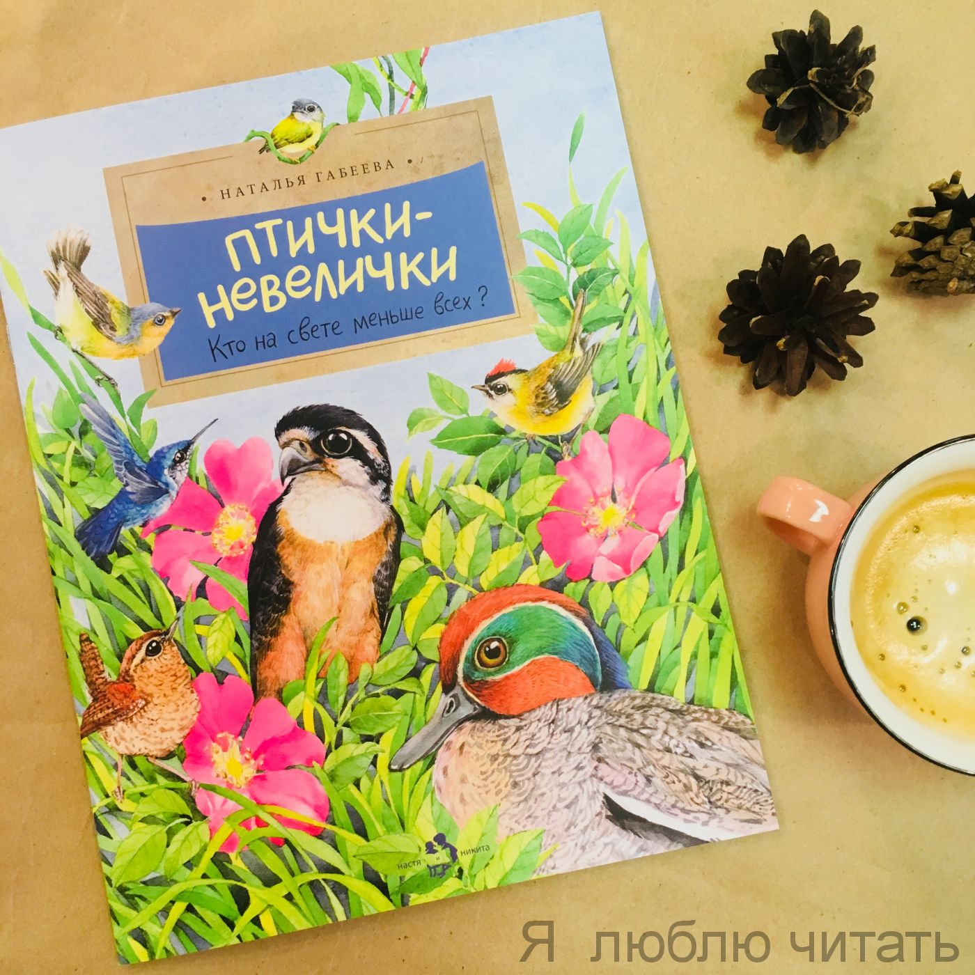 Книга «Птички-невелички»