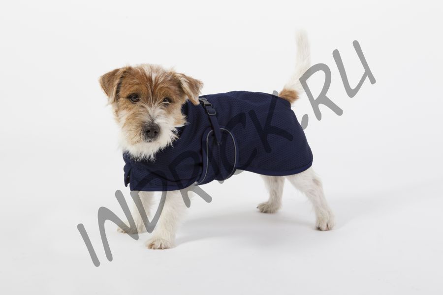 Сетчатая попона для собак Back on Track Mesh синяя