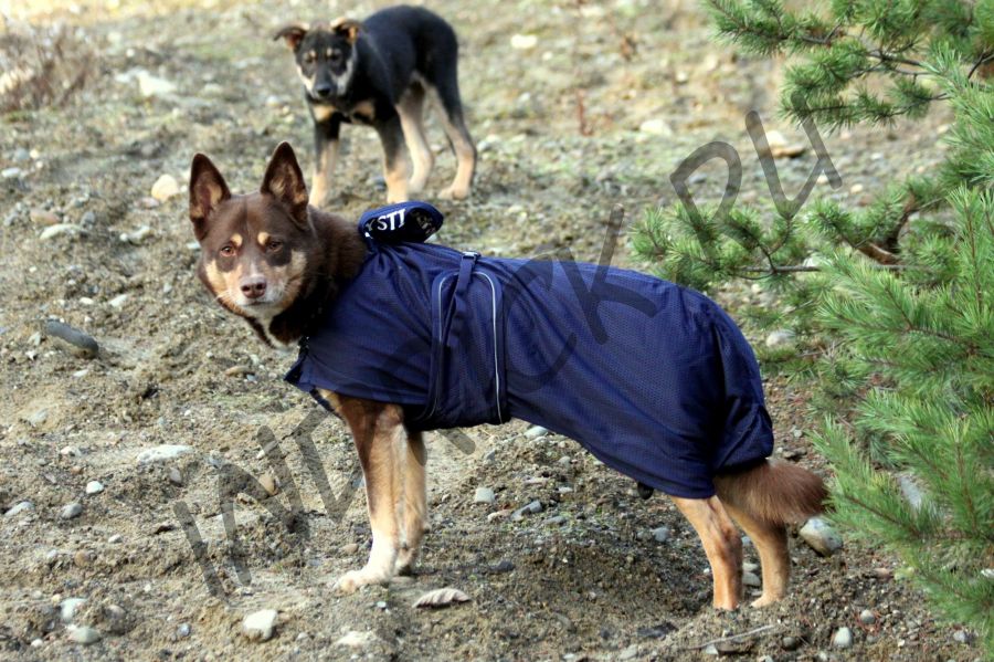 Сетчатая попона для собак Back on Track Mesh синяя