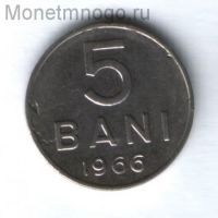 5 бани 1966 г. Румыния