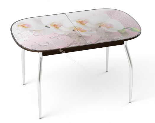 Стол обеденный Gold foto хром Нежность-2/Венге