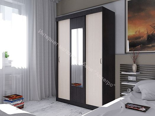 Шкаф купе "Мираж 11"