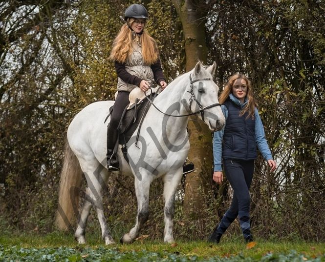 Меховое седло Barefoot Soft Walk