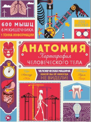 Анатомия. Картография человеческого тела