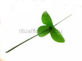 Стебель (ножка) с листом 40 см (100 шт./уп.). H-16L